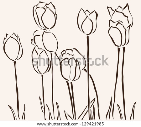 hand drawn tulip flowers for your design - stock vector