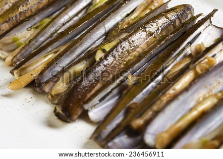 closeup of a white plate with grilled razor clams