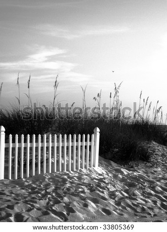 Sea grass sand dune with white picket fence