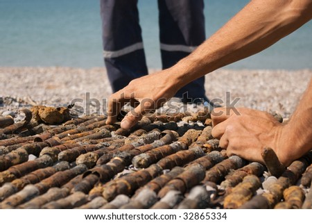 The account of quantity of shells