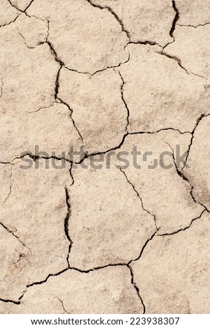 Cracked and dried mud texture.