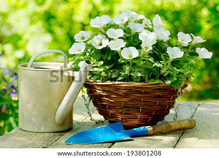 summer flowers with garden tools