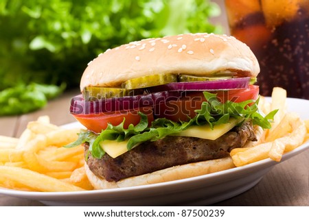 hamburger with vegetables and fries