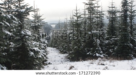 On top of Kahler Asten mountain, Germany, covered by snow