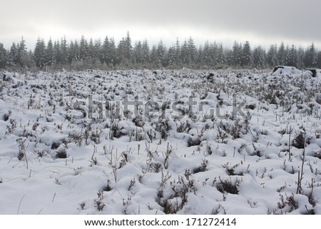 On top of Kahler Asten mountain, Germany, covered by snow