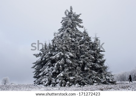 On top of Kahler Asten mountain, Germany, covered by snow