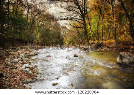 Beautiful Fall river lines with rocks and trees