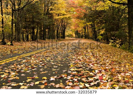 Beautiful Fall road with golden leaves laying in the road