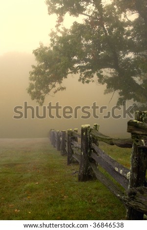 Beautiful old split rail fence and tree in foggy morning light in Blue Ridge Mountains in Autumn.