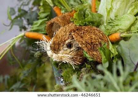 Cute little brown and white Easter bunny peeking up from his hiding place in the greenery in carrot patch