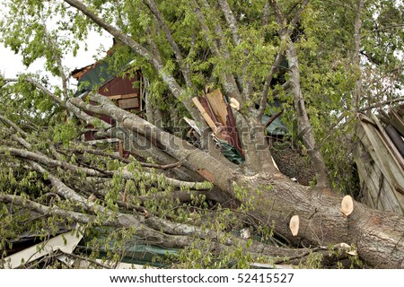 Large tree on house after tornado.  Some limbs have been trimmed to allow the owner to enter the property.
