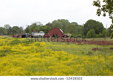 Red barn and other out buildings with red clover and yellow wildflowers