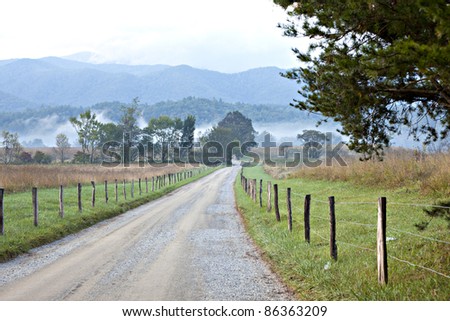 Unpaved country road and pasture lined  with green trees and rail fence