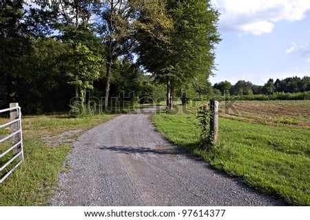 Unpaved country road and pasture with green trees and blue sky