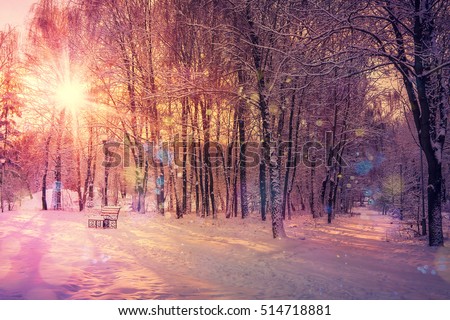 beautiful winter landscape sunset in winter. color in nature. winter scene. instagram toning effect. retro style. soft light effect