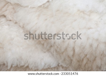 sheep skin texture background, pure natural soft raw wool, softness