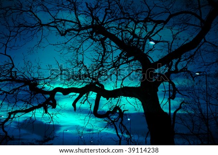 disquieting landscape, bare tree and street lamp at halloween night, disturbing strange light on the dark sky