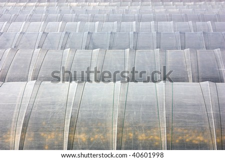 polyethylene nylon roof of greenhouses for growing flowers, ornamental plants and vegetables, plant nursery, protected cultivation