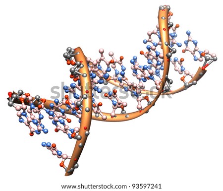 organic chemistry model of the DNA molecule illustration of a biological particle organic chemistry model of the DNA molecule illustration of a biological particle
