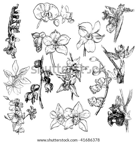 stock vector Stock vector illustration set of flowers drawings