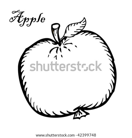 Apple Drawing Picture