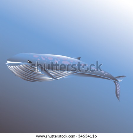 blue whale cartoon. of a lue whale