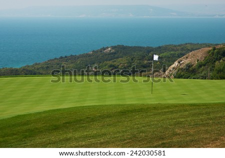 Golf ball in a green course and hole