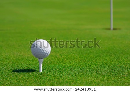Golf ball in a course and hole. Golf green.