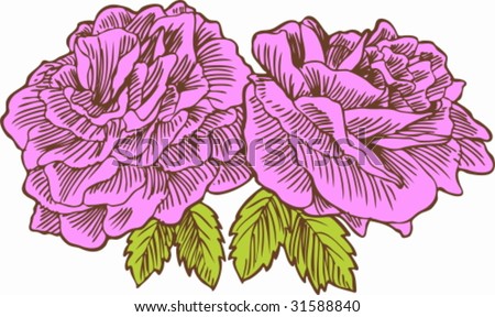 Rose Flower Sketch