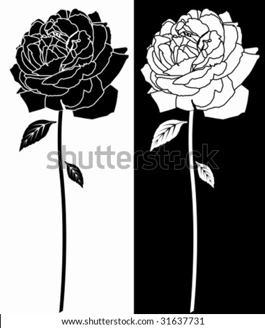 white rose drawing. black and white rose drawing. Rose Black White Drawing