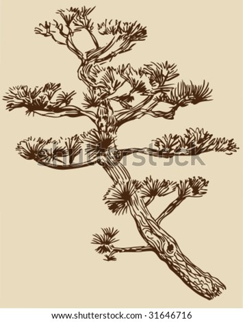 Asian Tree Drawing
