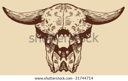 Buffalo Skull Stock Vector Illustration 31744714 : Shutterstock