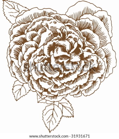 rose flower sketch. stock vector : Rose Drawing