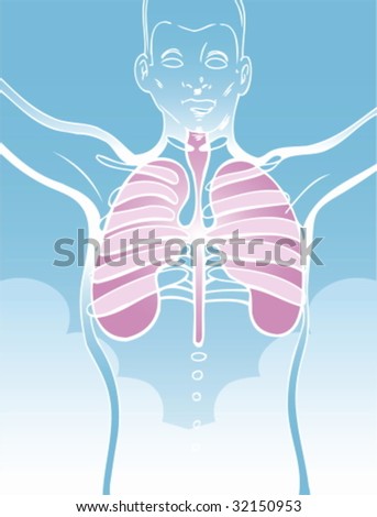 Lung Drawing Stock Vector Illustration 32150953 : Shutterstock