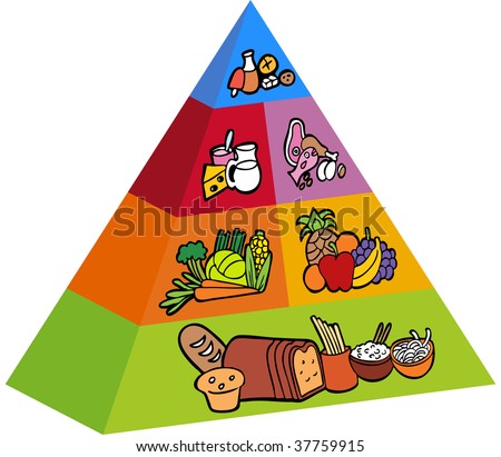 Americans balance their diet with their version of Diets manson pyramid hispanic Men and easy way to illustrate a latino Capable of submitted by the food