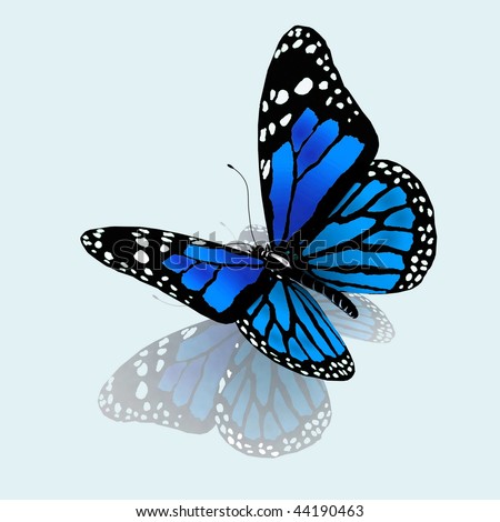 printable coloring pages of butterflies. printable coloring pages