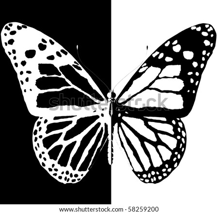 stock photo : silhouette of butterfly on a black and white background
