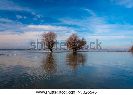 serene image from Danube Delta with blue sky, water and willows