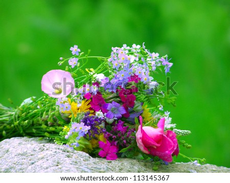 Bright colorful bouquet of garden and wild natural flowers