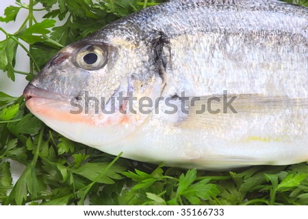 Pacific fresh fish background