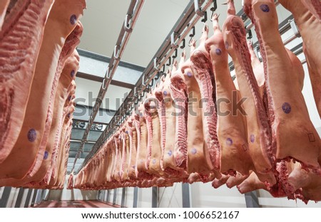Refrigerator meat storage with handing sides in pork butchery.