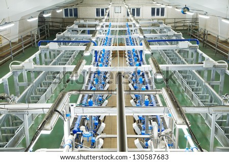 automatic dairy milking system industry cow farm