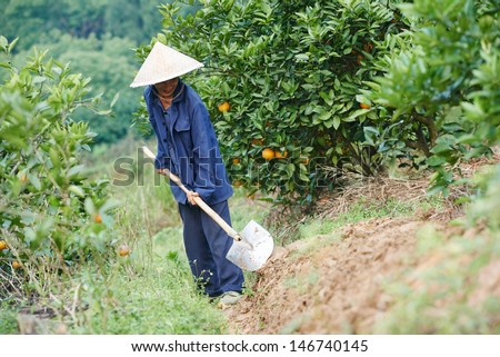 asian man worker at farm work digging soil with shovel in china agriculture field