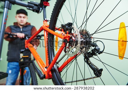 Bike maintenance: mechanic serviceman repairman installing assembling or adjusting bicycle gear on wheel in workshop