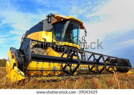 yellow combine in the field of buckwheat over bright cloudy blue sky