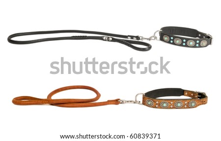 Two leather dog collars inlaid with stones and leashes isolated
