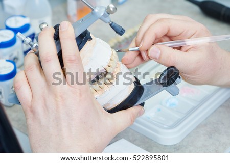 dental prosthesis work. Painting teeth