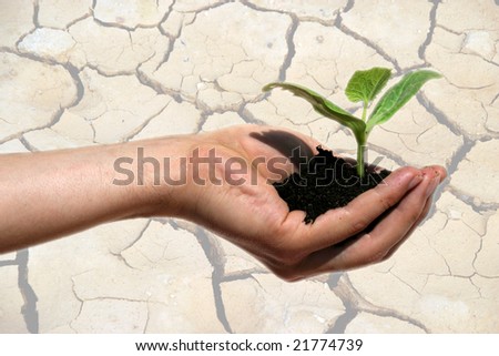 earth protection theme (hand with plant)