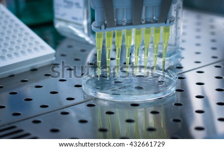 Pipetting with a multi-channel pipette in cell culture laboratory