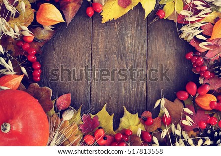 Autumn leaves on wooden background, fall leaf frame with rose hips, red berries and pumpkin, selective focus, toned